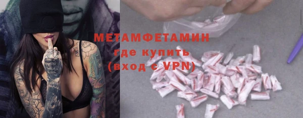 прущие грибы Няндома