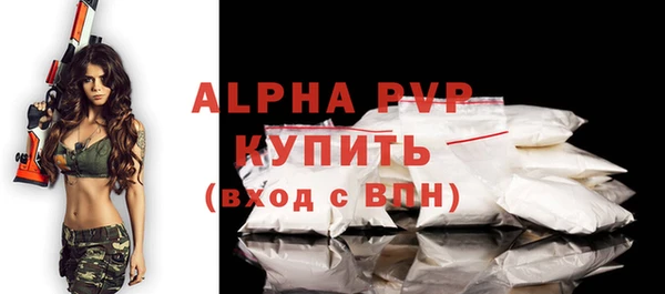 прущие грибы Няндома
