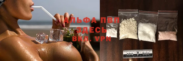 PSILOCYBIN Нязепетровск