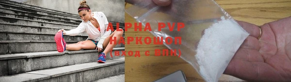 прущие грибы Няндома