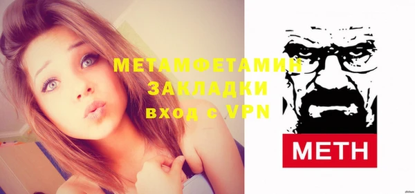 прущие грибы Няндома