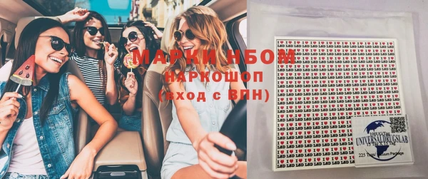 прущие грибы Няндома