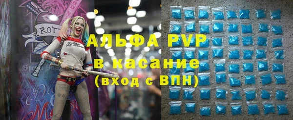 мдпв Новозыбков