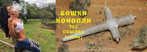прущие грибы Няндома