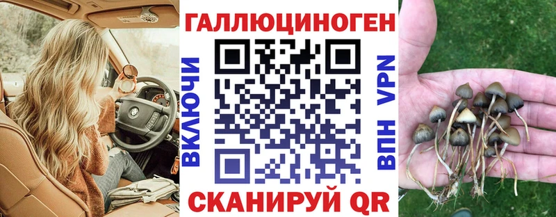 Галлюциногенные грибы мицелий  Рославль 