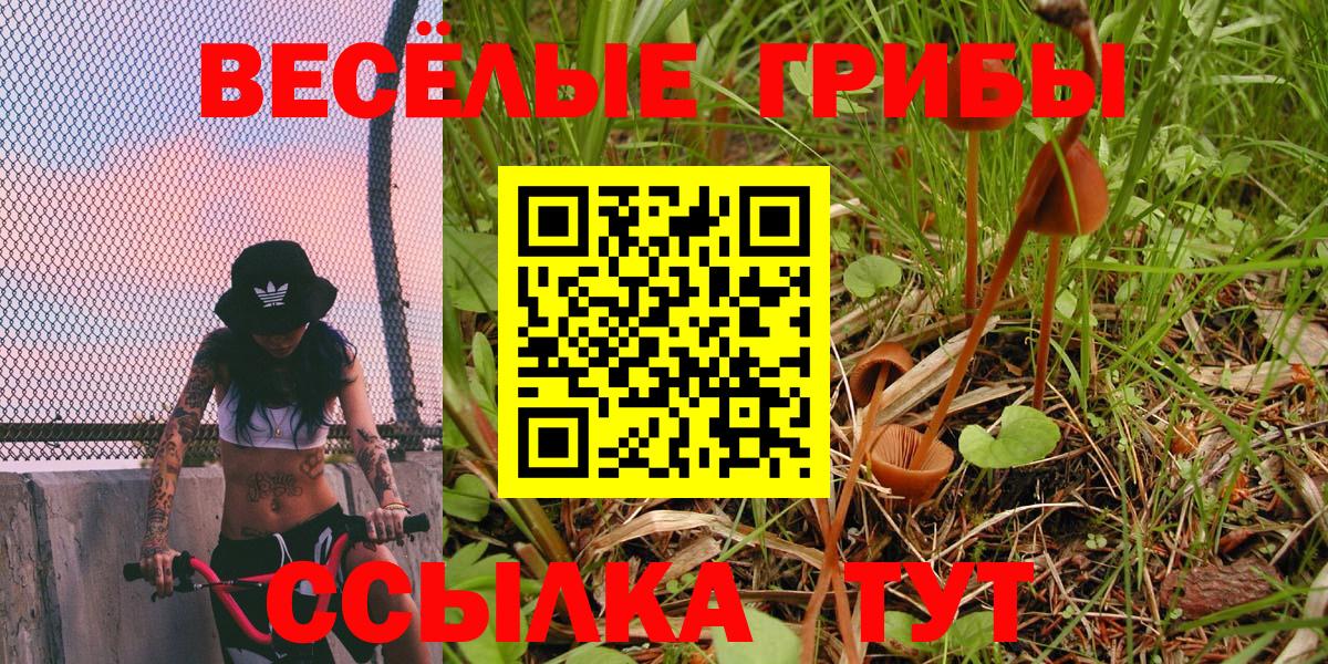 Галлюциногенные грибы мухоморы  Вход с VPN  Рославль 