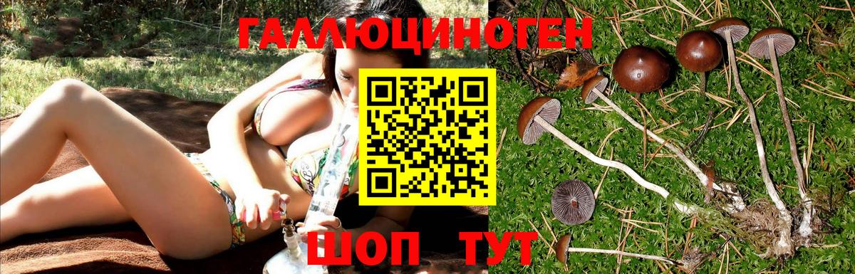Метадон Рославль