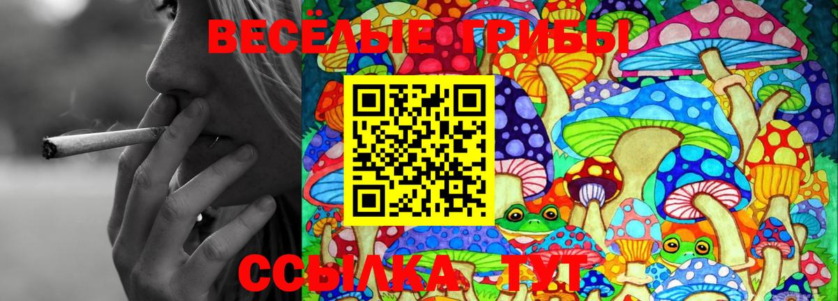 Галлюциногенные грибы Cubensis Рославль